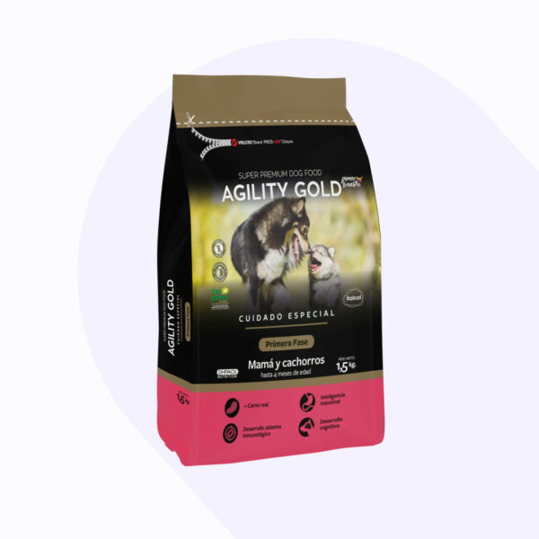 agility-gold-primera-fase