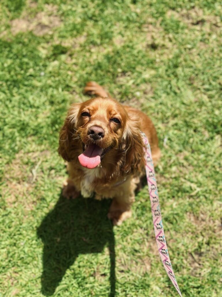 Chloe