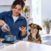 Portada blog cuanto debe comer un perro al día