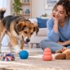 Cómo elegir juguetes para perros según su tamaño