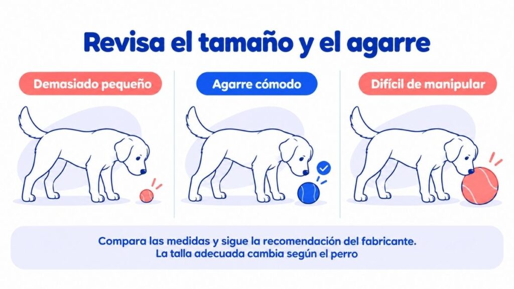 Comparación ilustrada de una pelota pequeña, una de agarre cómodo y una difícil de manipular para el mismo perro.